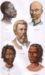 men_rassen